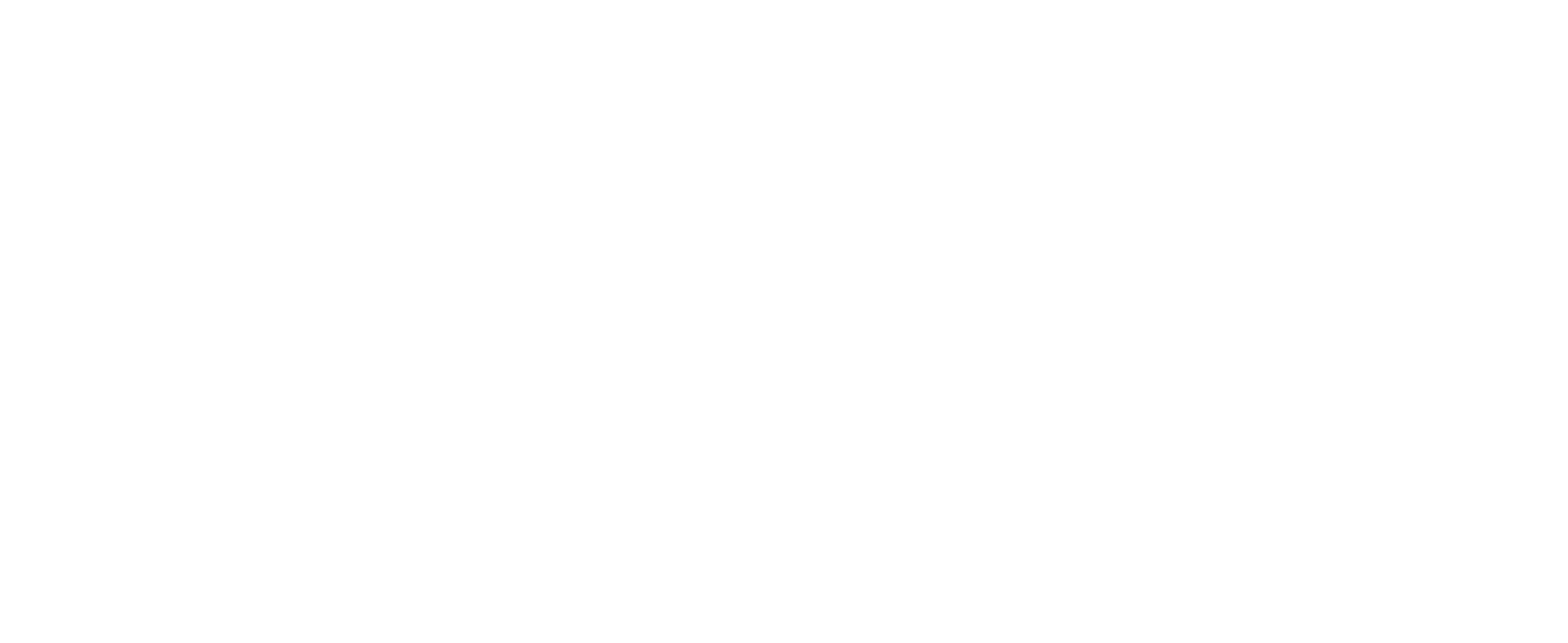 Logo Neixa White